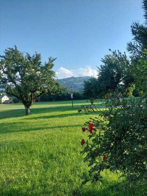 Apartament Aignerhof Flachau Zewnętrze zdjęcie